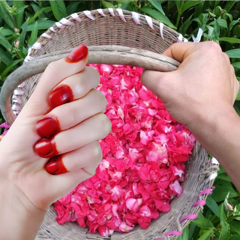 남녀공용 40g 헤나 네일 염색 파우더 천연 식물 헤나 - Nail Art For Men 리뷰 및 가격